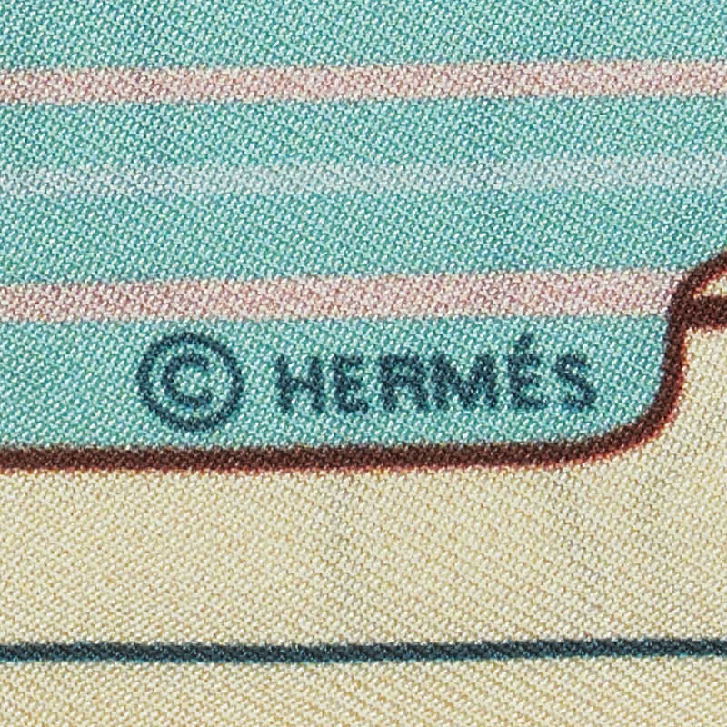 Hermes Silk Twilly Scarf