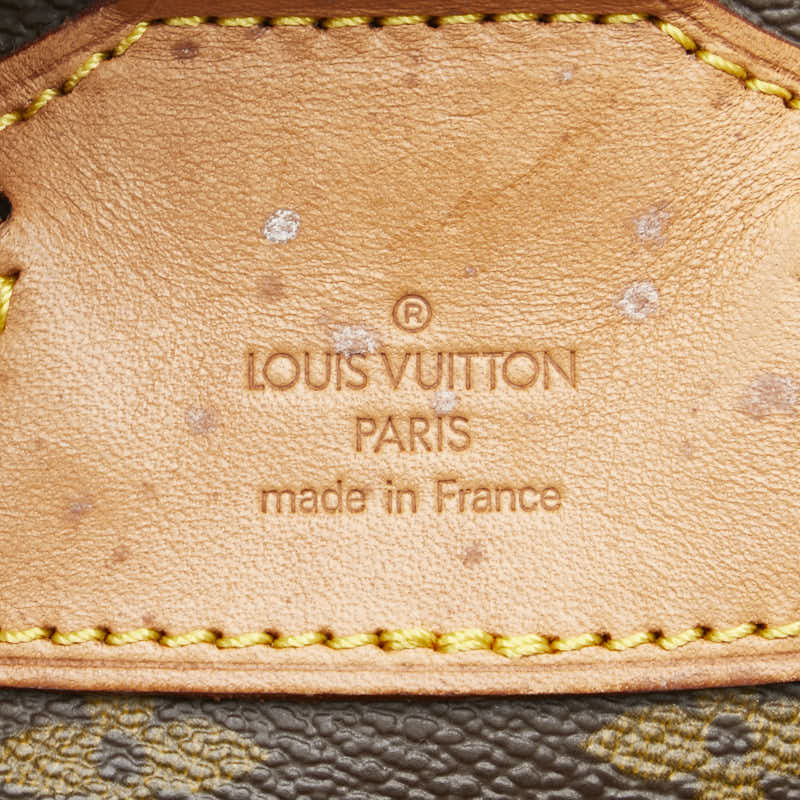 Louis Vuitton Monogram Montsouris MM Backpack