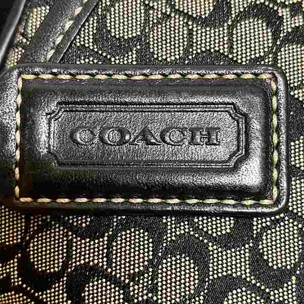 Coach Mini Signature Canvas Leather Shoulder Bag 6376