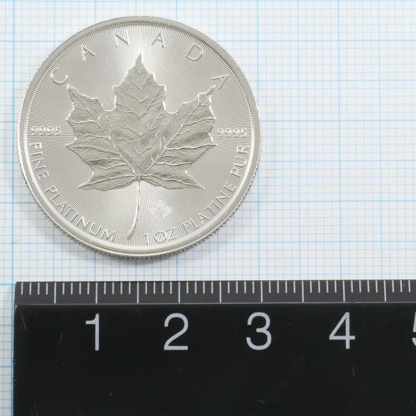 Maple Leaf 1oz Platinum Coin PT1000 in Good Condition