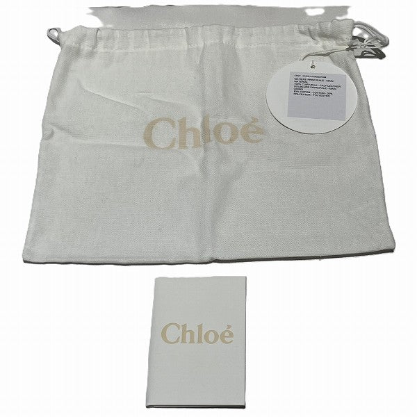 Chloe Daria 2WAY Handbag CHC21SS362D874E7