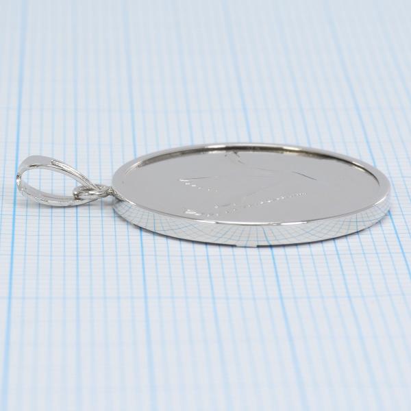 Platinum PT1000 Coin Pendant Top