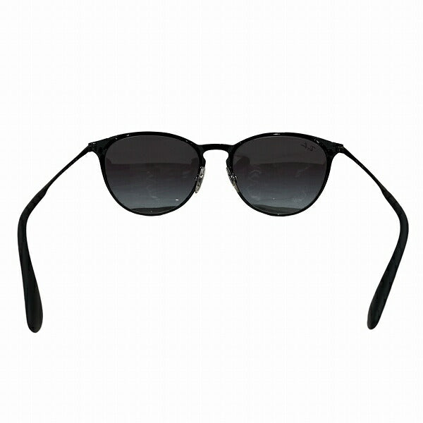 Ray-Ban Erika Metal Sunglasses RB3539