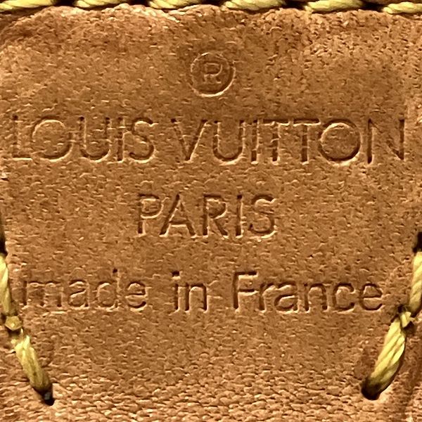 Louis Vuitton Monogram Pochette Accessoires Bag