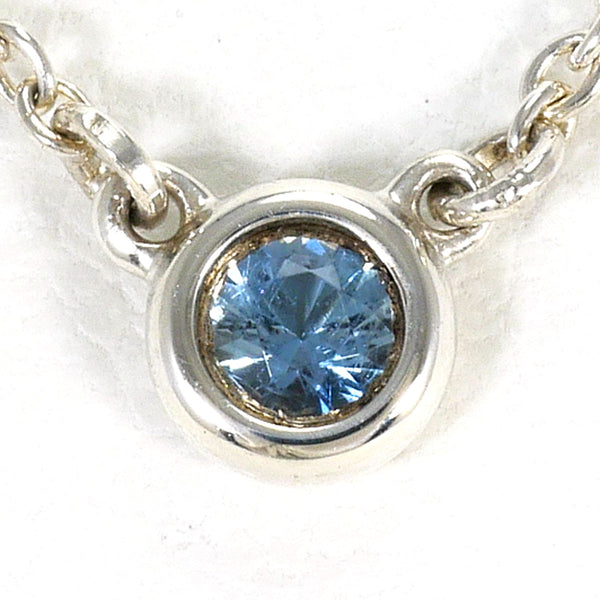 Tiffany&Co. By the Yard Silver Necklace