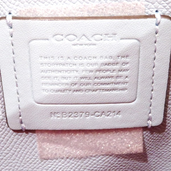 Coach Leather Bucket Shoulder Bag CA214