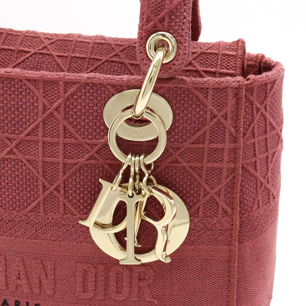 Dior Lady D-Lite Medium Embroidered Canvas Bag