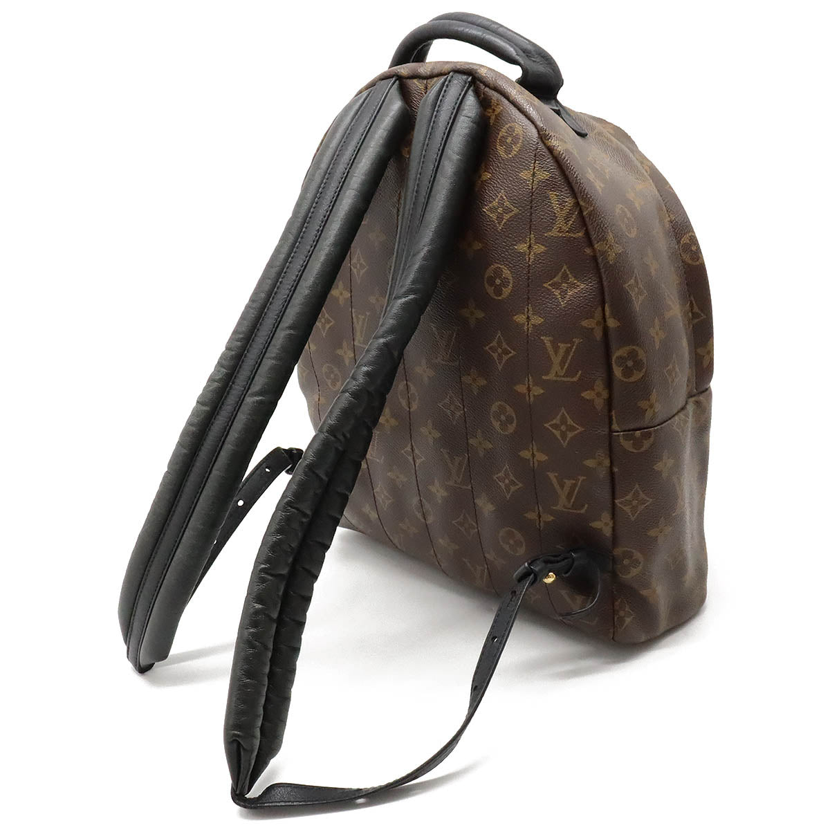 Louis Vuitton Monogram Palm Springs MM Backpack M41561