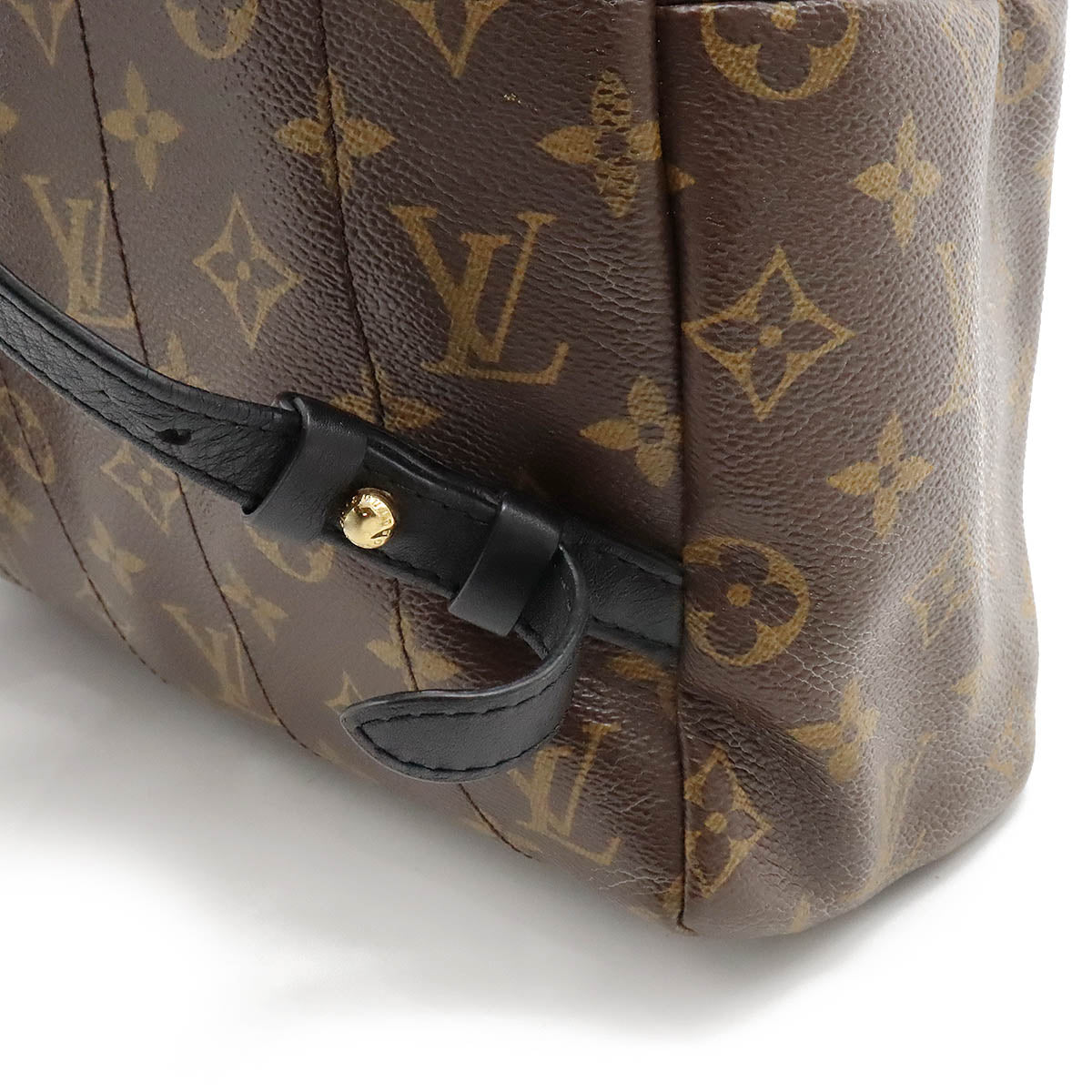 Louis Vuitton Monogram Palm Springs MM Backpack M41561