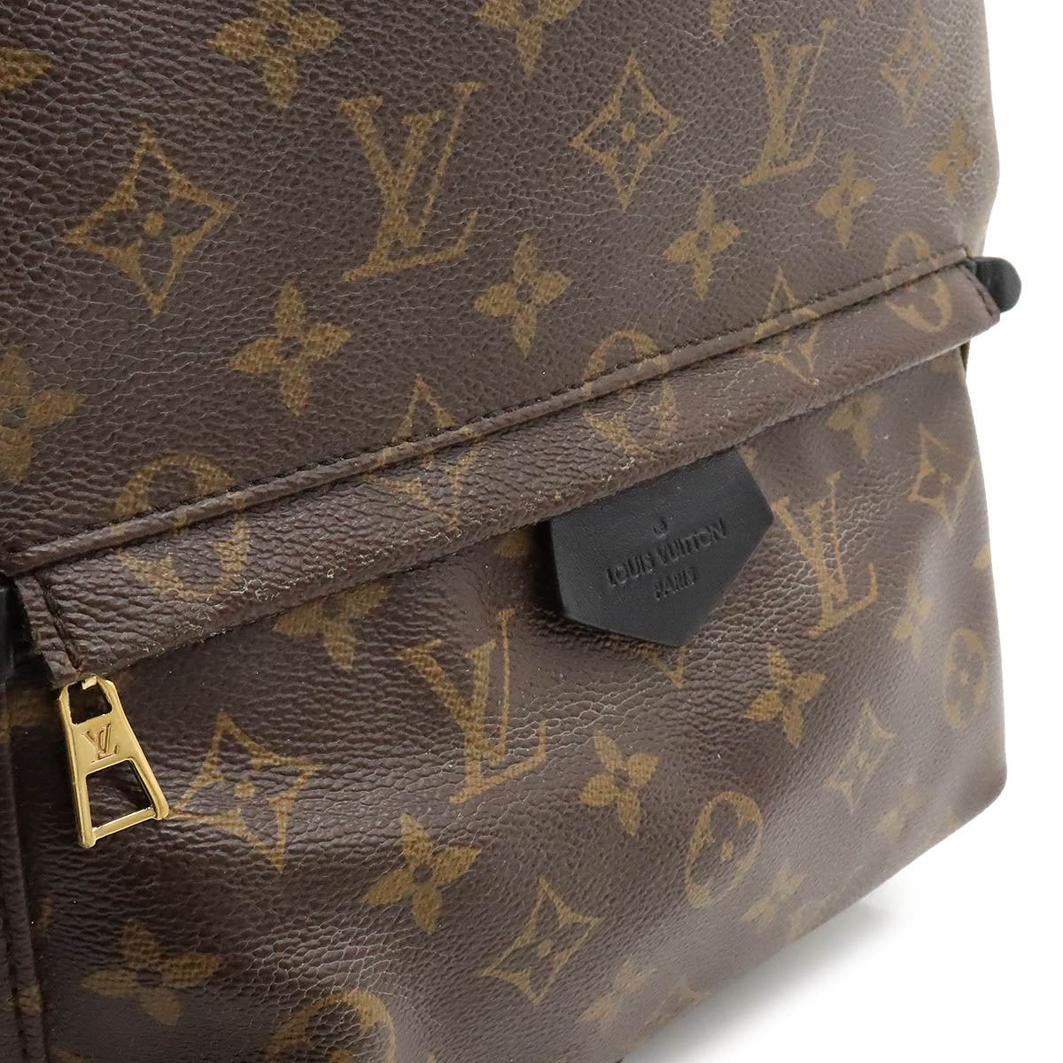 Louis Vuitton Monogram Palm Springs MM Backpack M41561