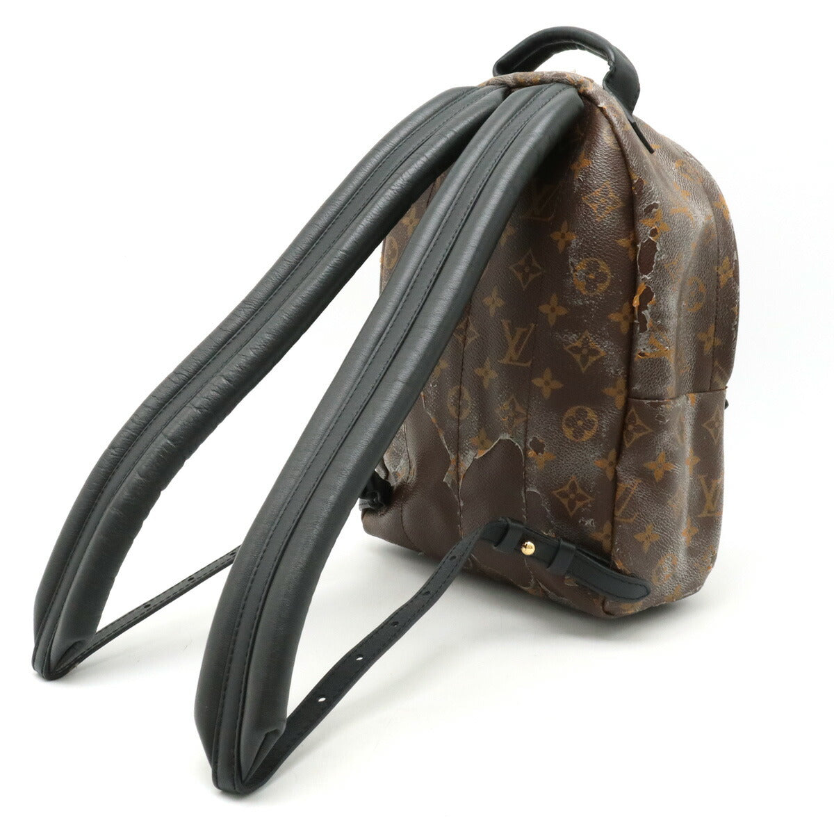 Louis Vuitton Monogram Palm Springs Backpack PM M41560