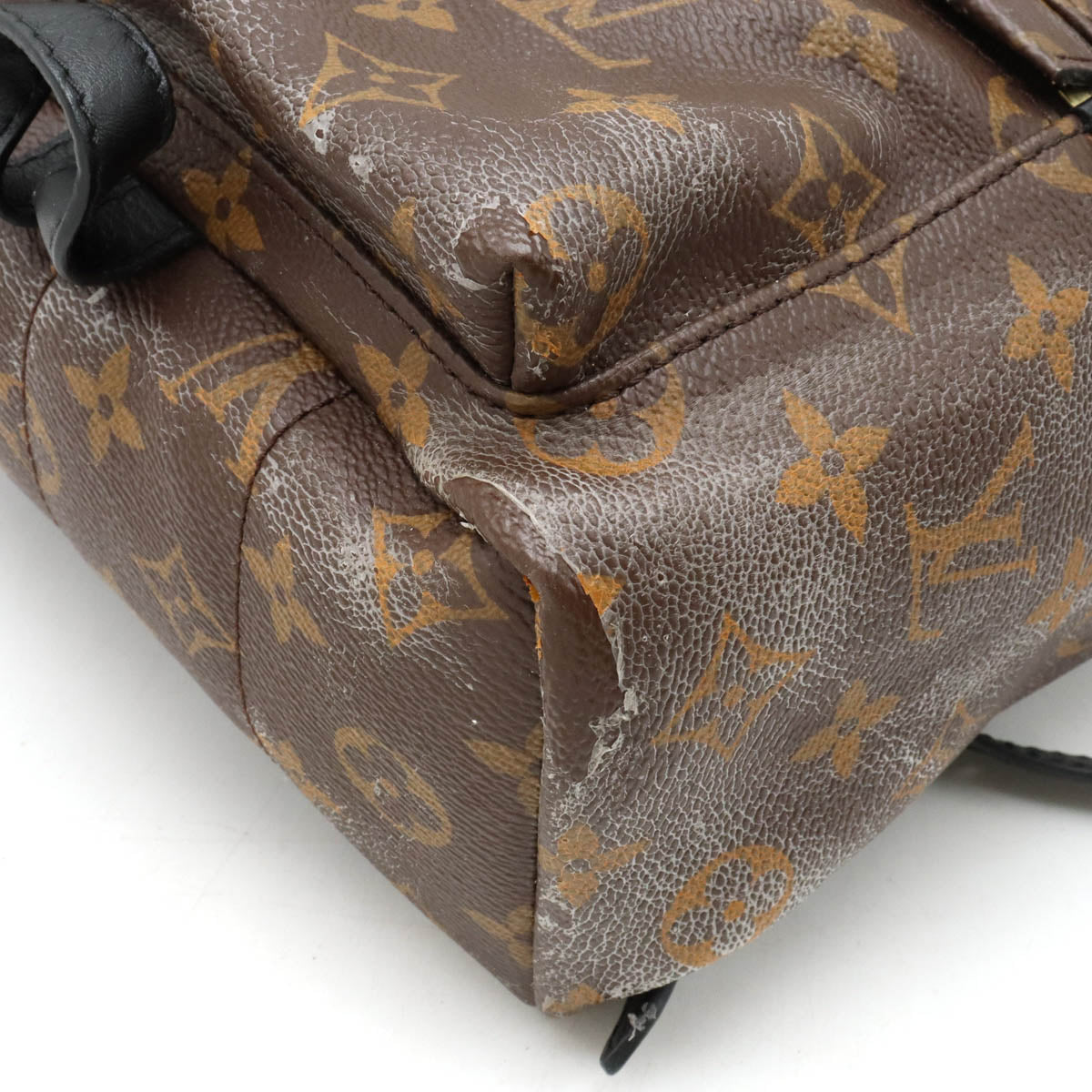 Louis Vuitton Monogram Palm Springs Backpack PM M41560