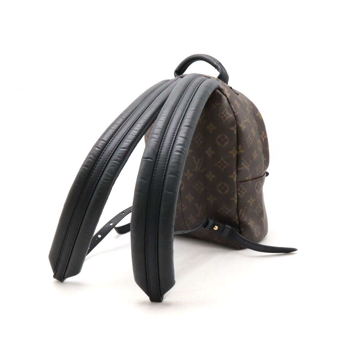 Louis Vuitton Monogram Palm Springs Backpack PM M41560