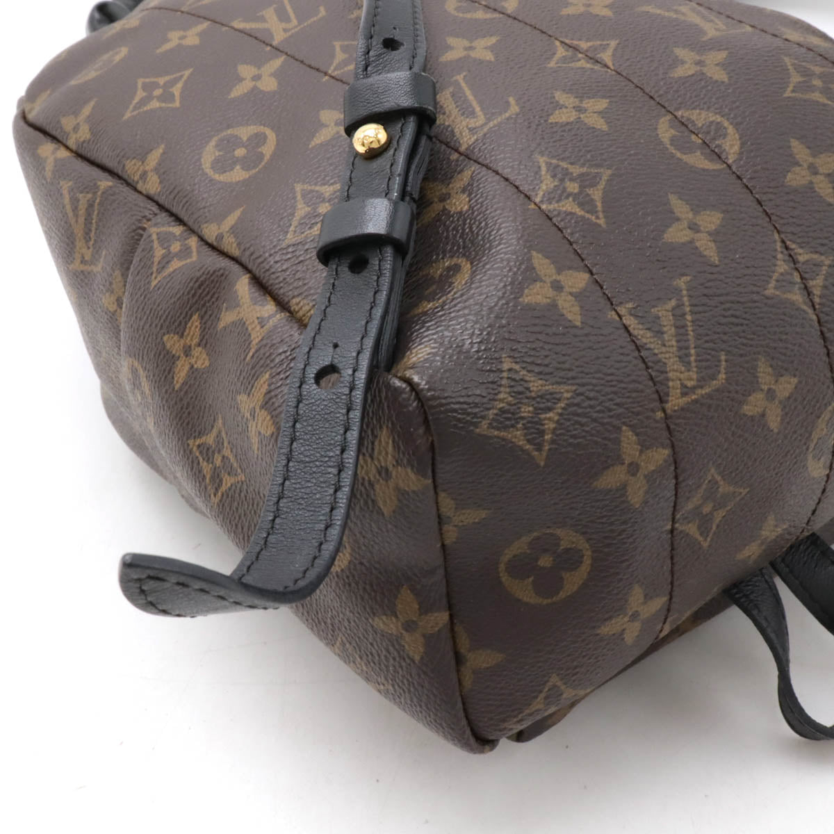 Louis Vuitton Monogram Palm Springs Backpack PM M41560