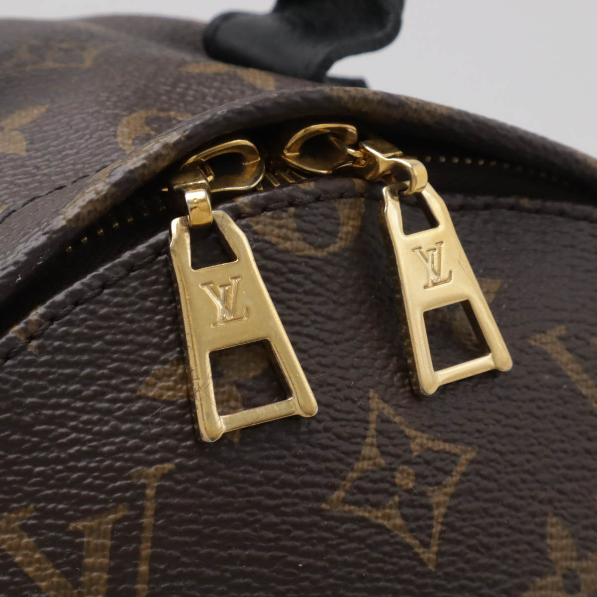 Louis Vuitton Monogram Palm Springs Backpack PM M41560