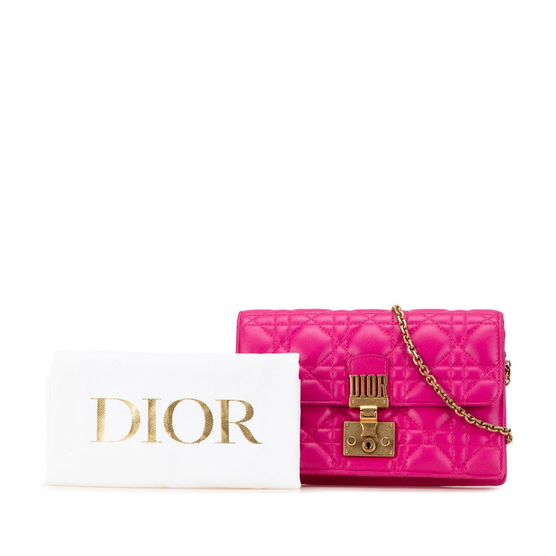 Dior Leather Chain Shoulder Wallet Bag