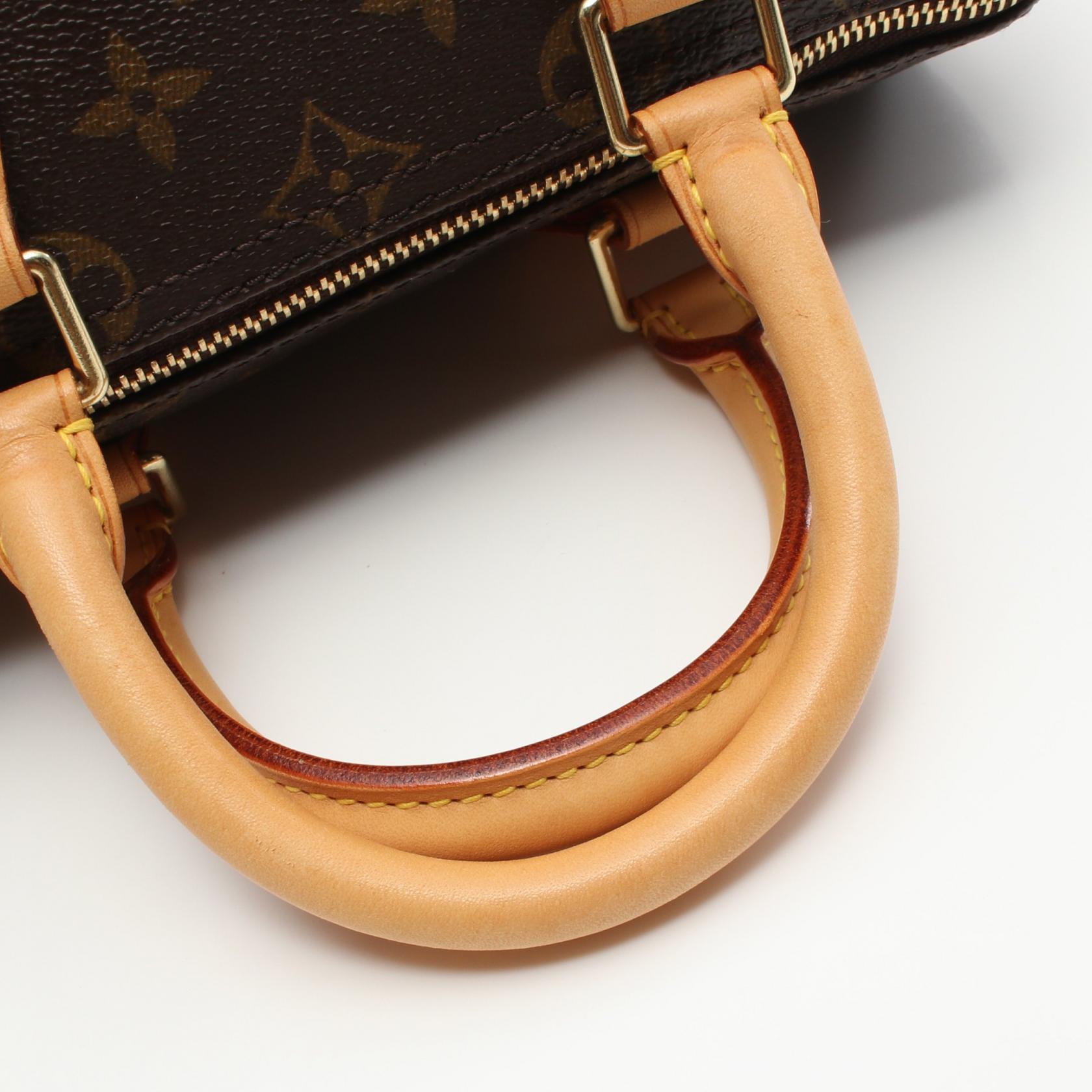 Louis Vuitton Speedy 25 Monogram Handbag