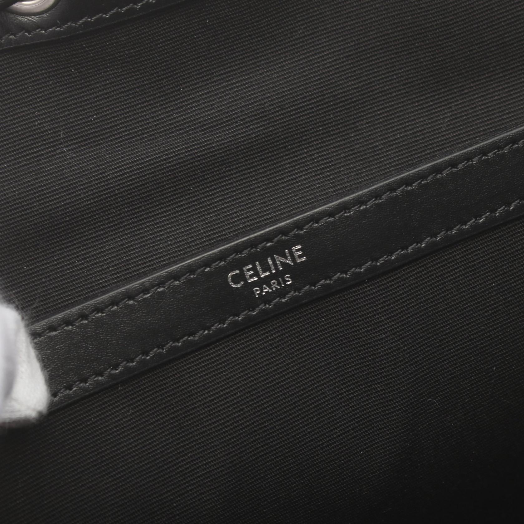 Celine Triomphe Large Backpack PVC Canvas