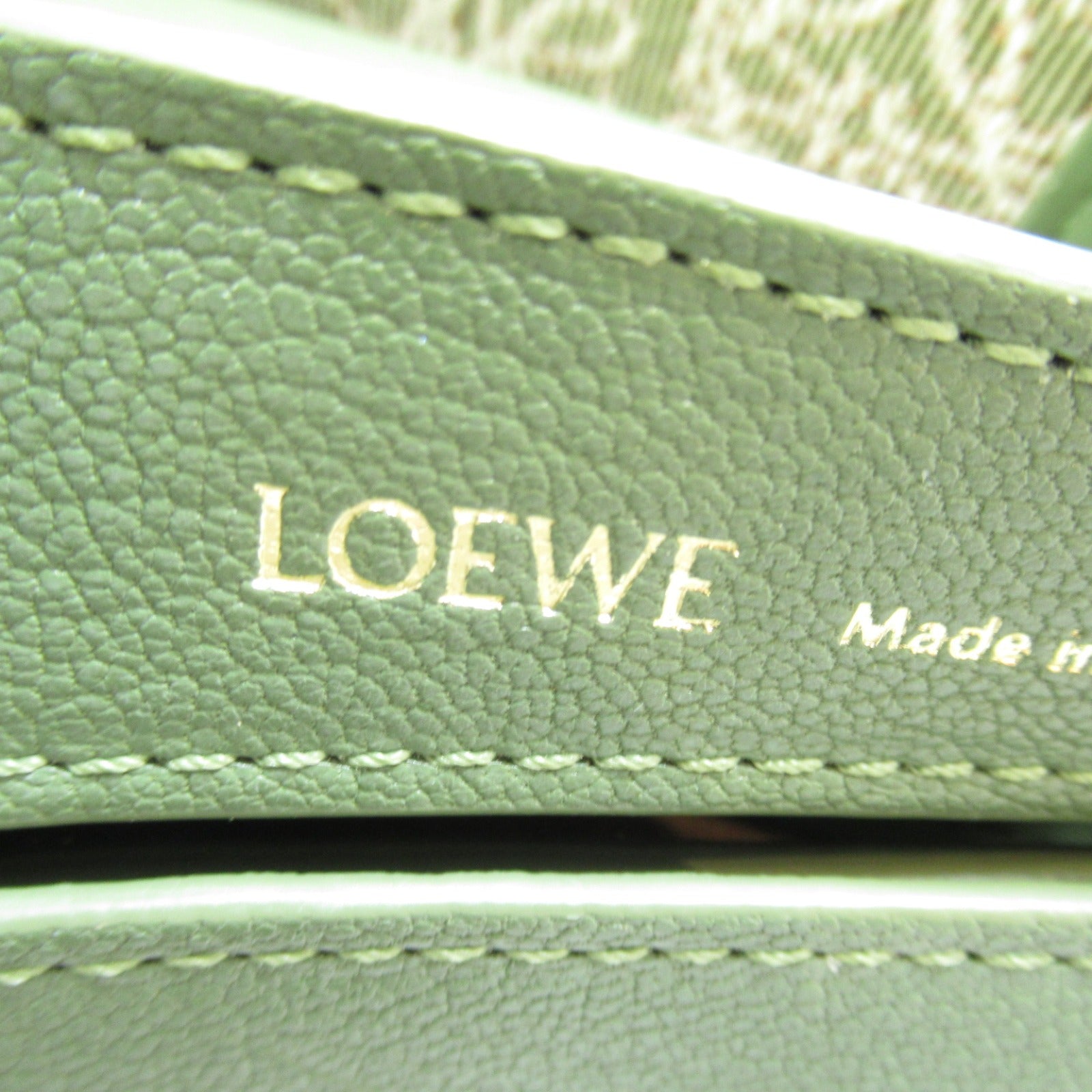 Loewe Luna Lambskin Shoulder Bag Green