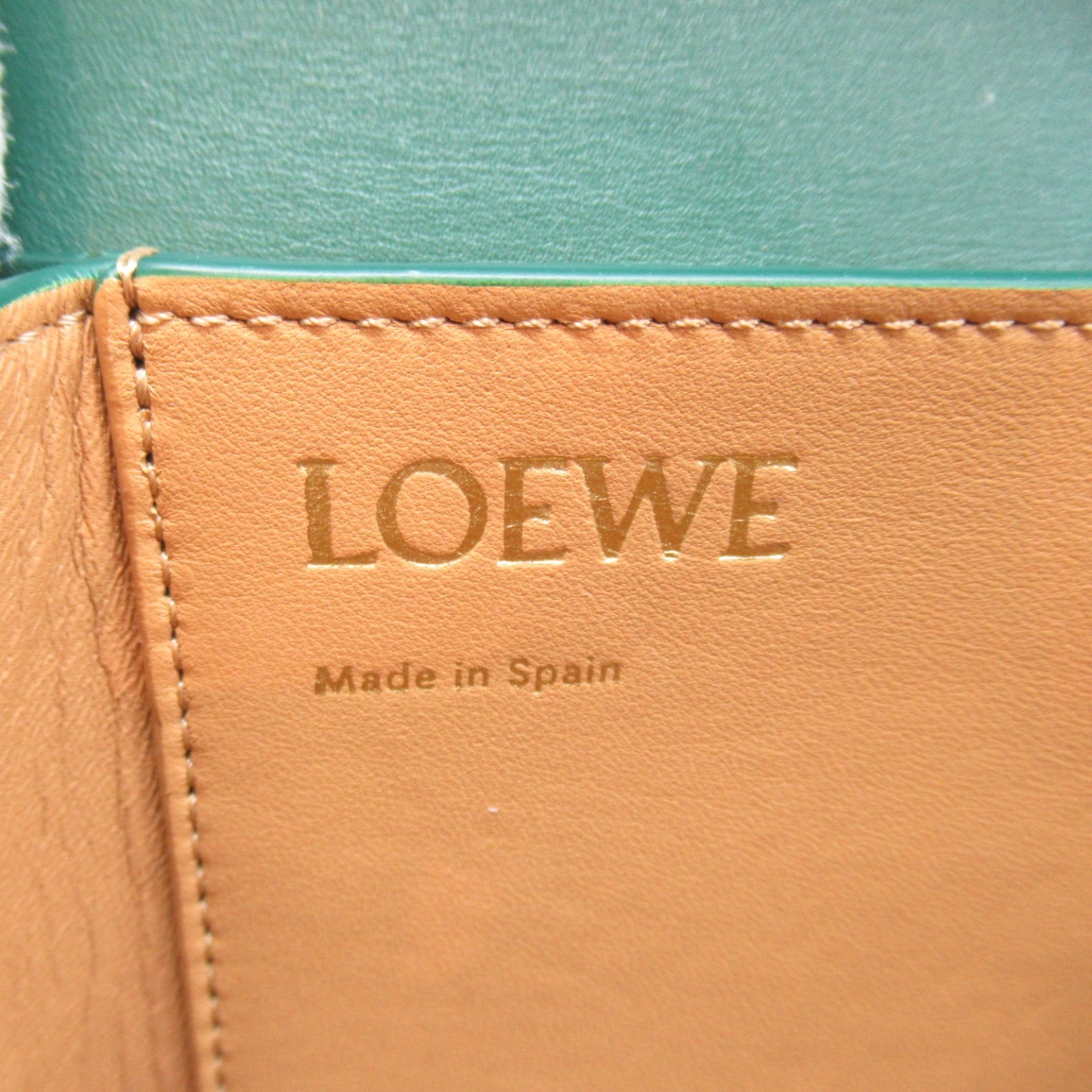 Loewe Goya Small Leather Shoulder Bag Green