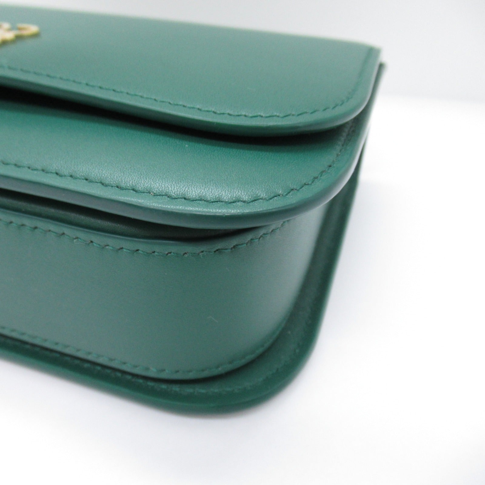 Loewe Goya Small Leather Shoulder Bag Green