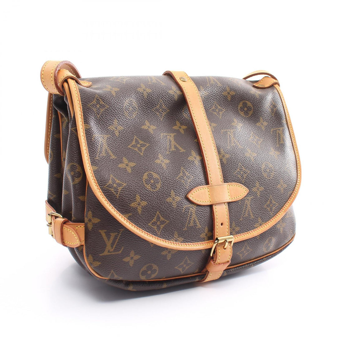 Louis Vuitton Monogram Shoulder Bag M42256