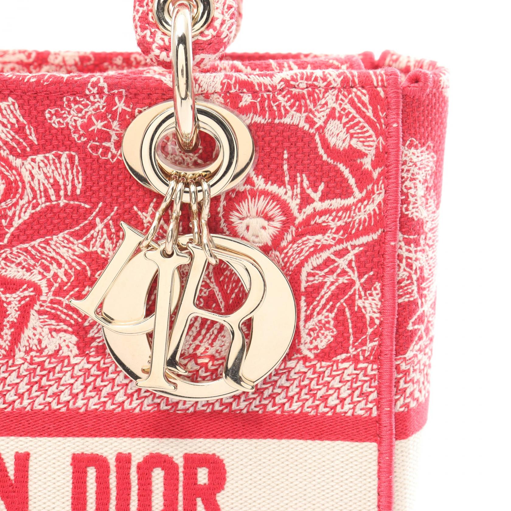 Dior Lady D-Lite Medium Embroidery Canvas Bag