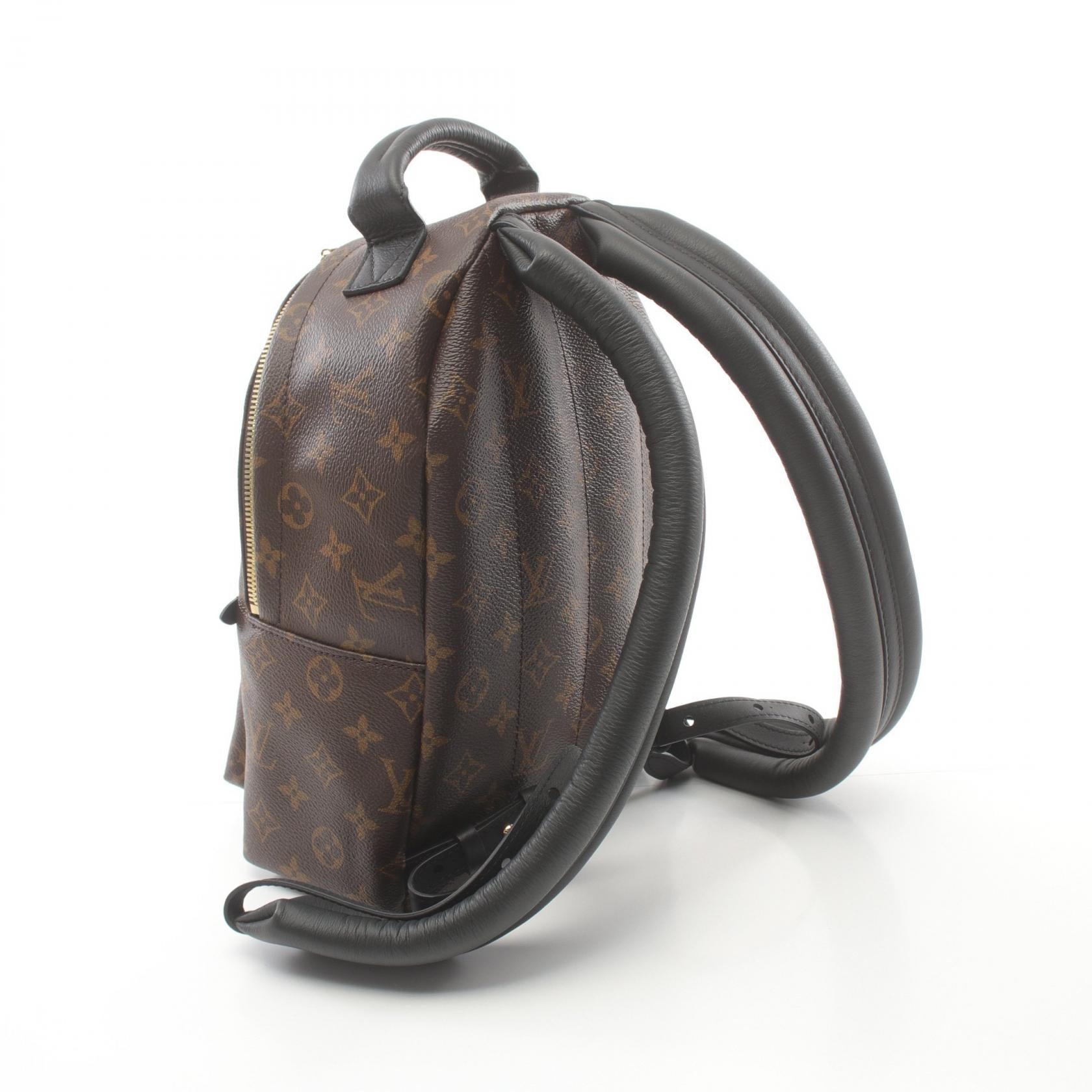 Louis Vuitton Palm Springs Backpack PM M44871