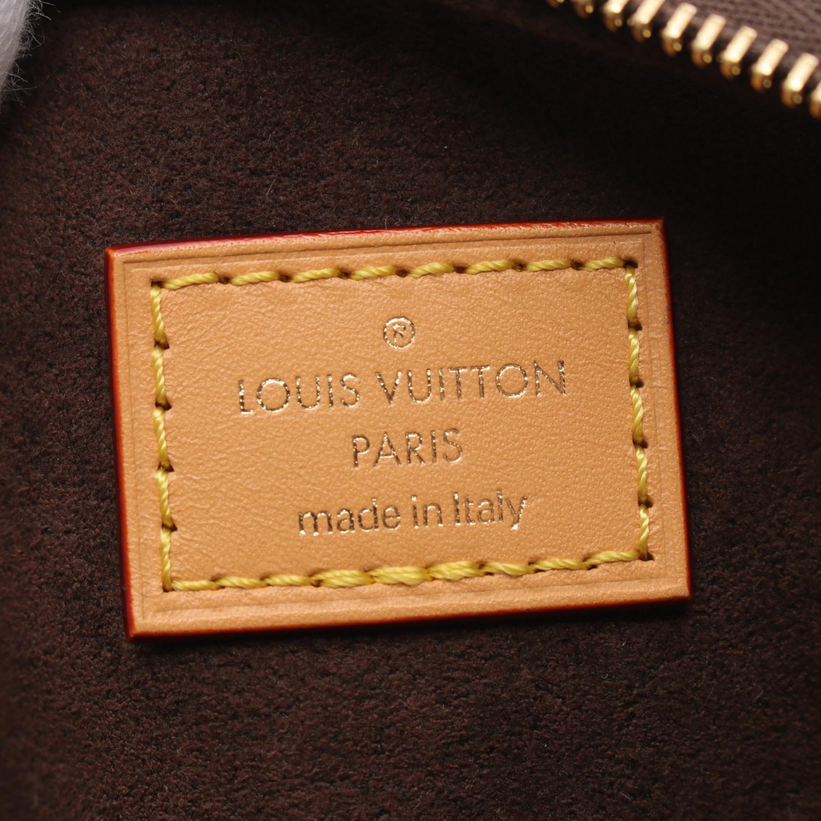 Louis Vuitton Mini Bum Bag Monogram M82335