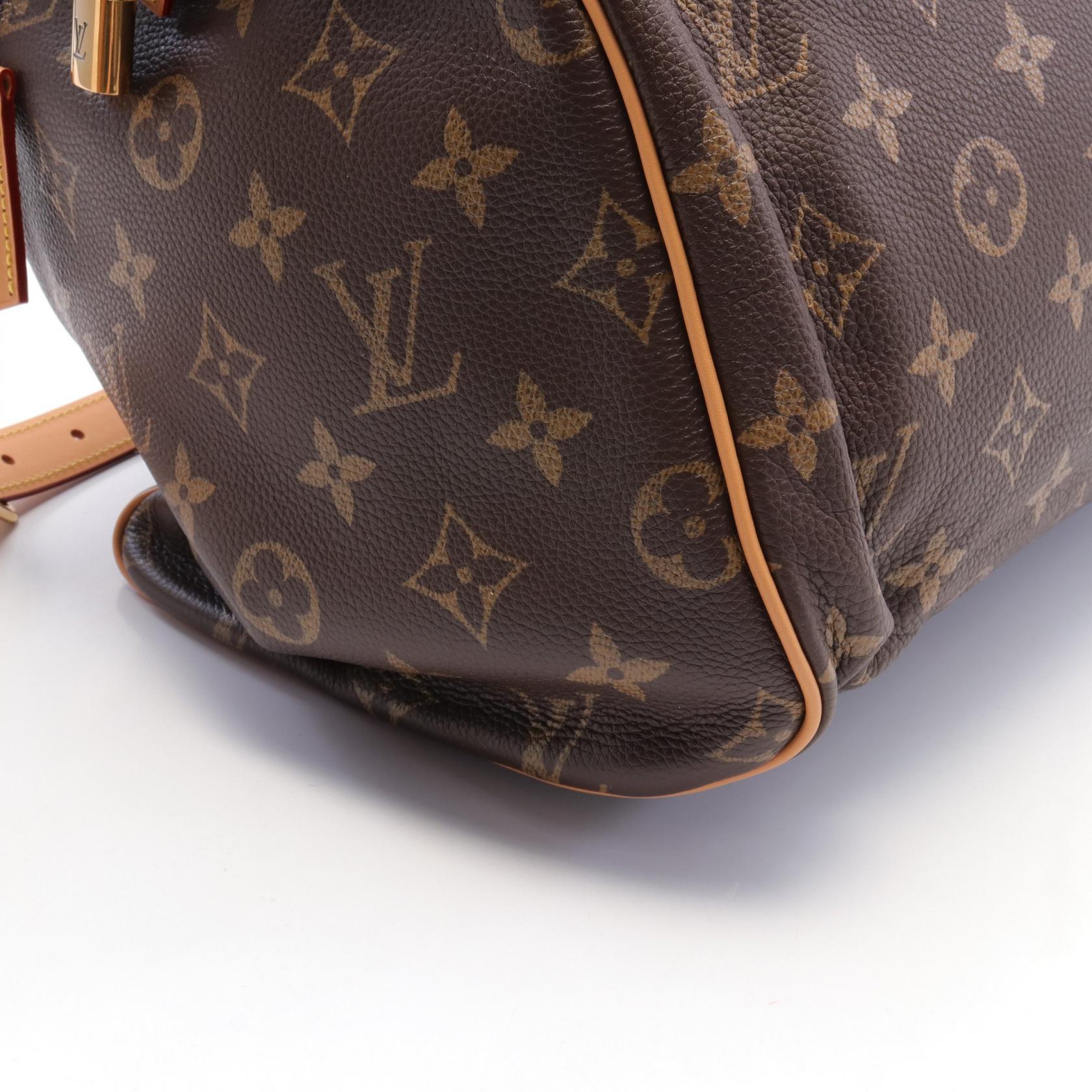 Louis Vuitton Monogram Leather Speedy 40 Bag