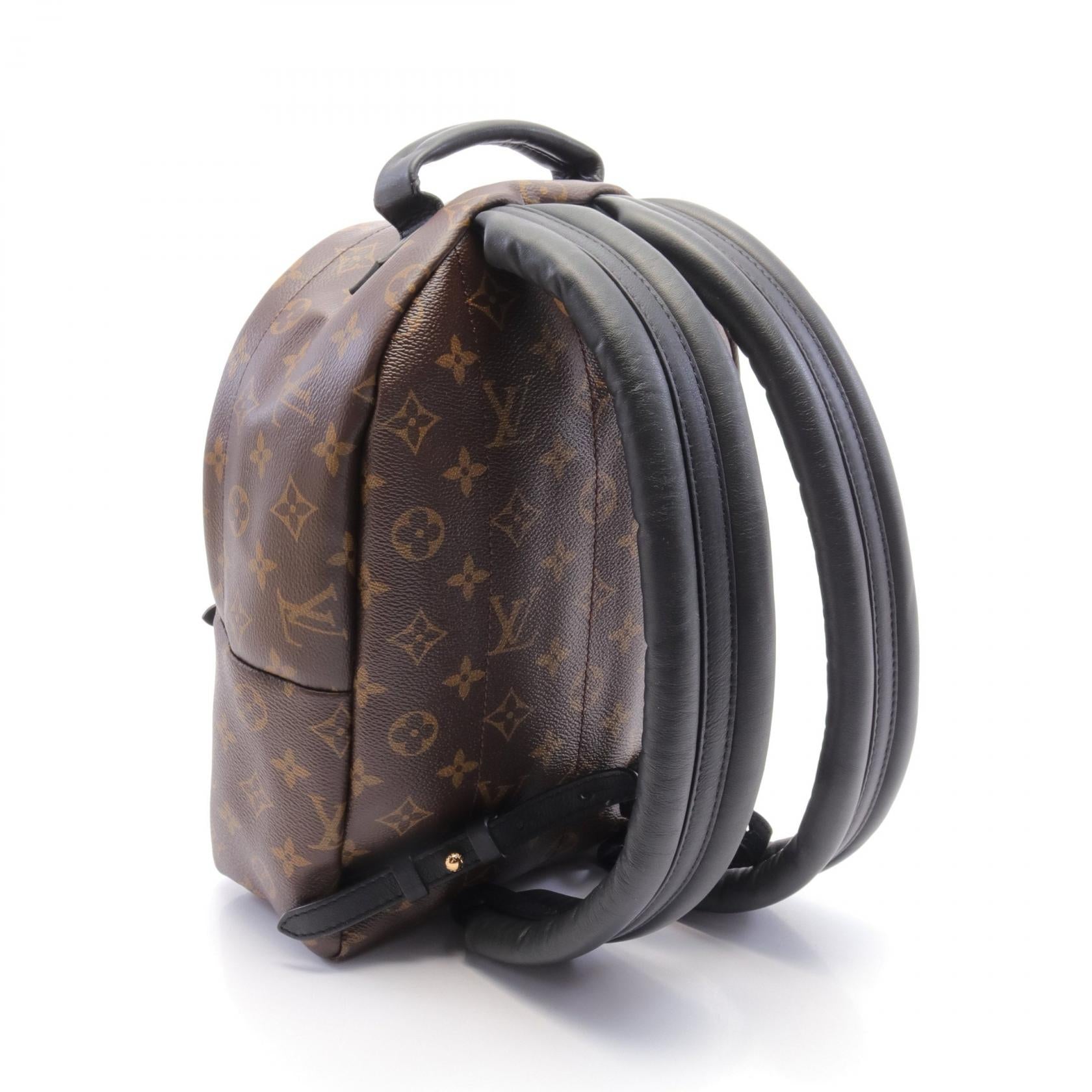 Louis Vuitton Monogram Palm Springs PM Backpack M41560