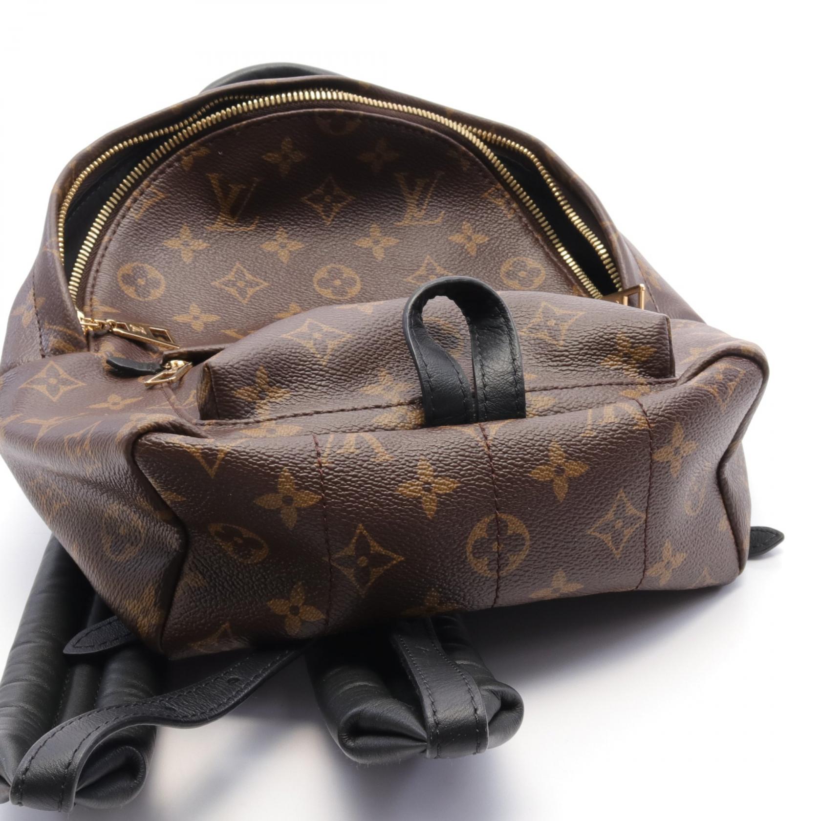 Louis Vuitton Monogram Palm Springs PM Backpack M41560