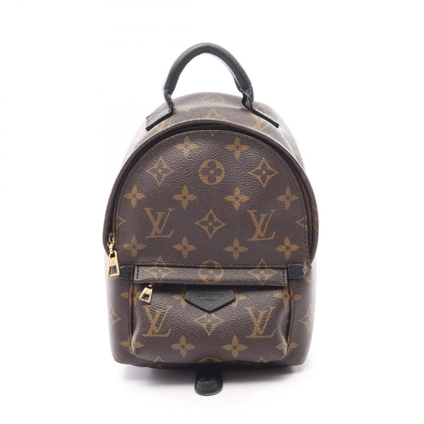 Louis Vuitton Palm Springs Monogram Backpack