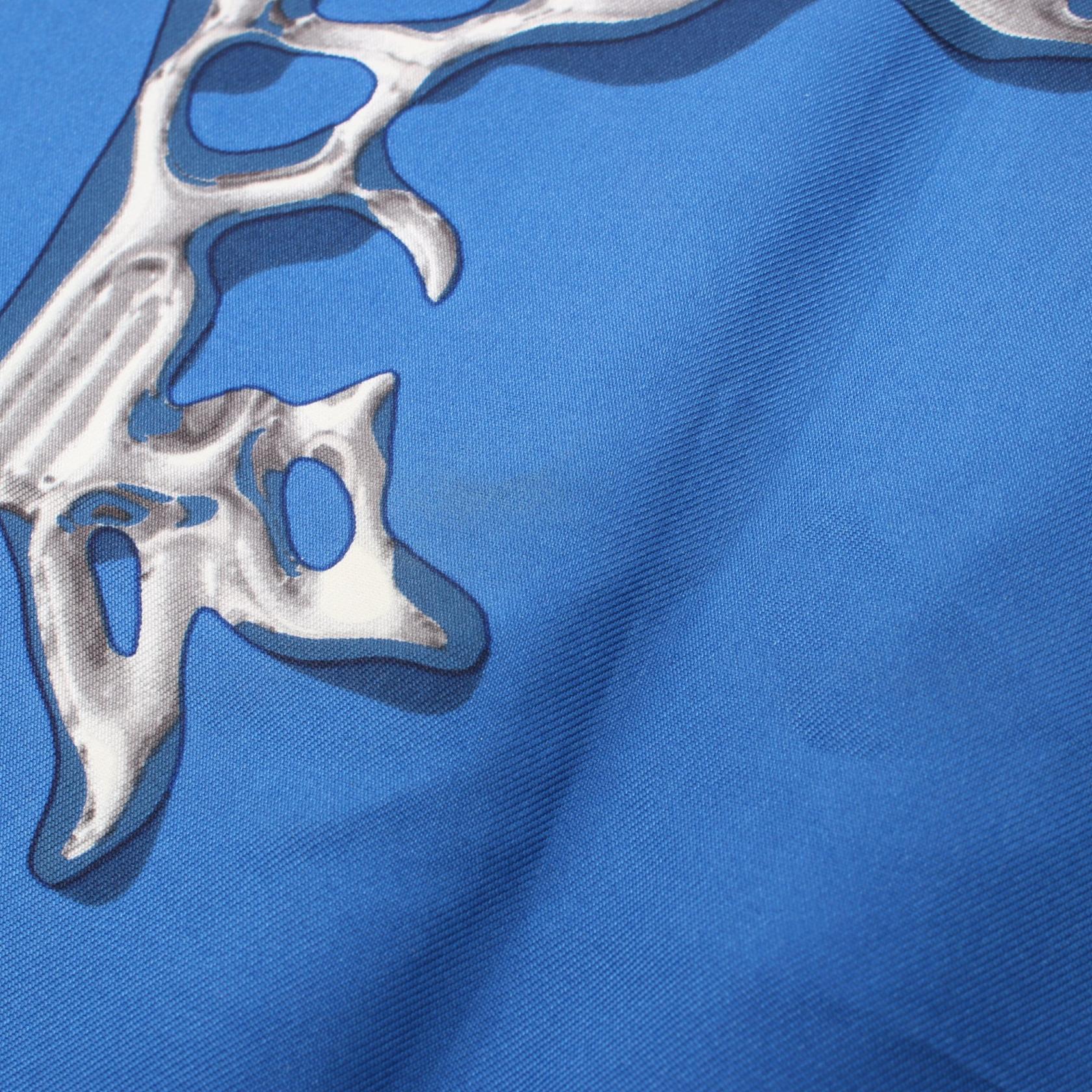 Hermes Silk Scarf VIF ARGENT Blue