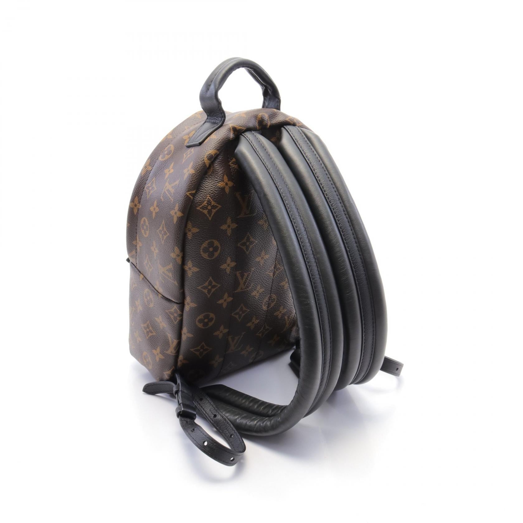 Louis Vuitton Palm Springs PM Backpack M41560