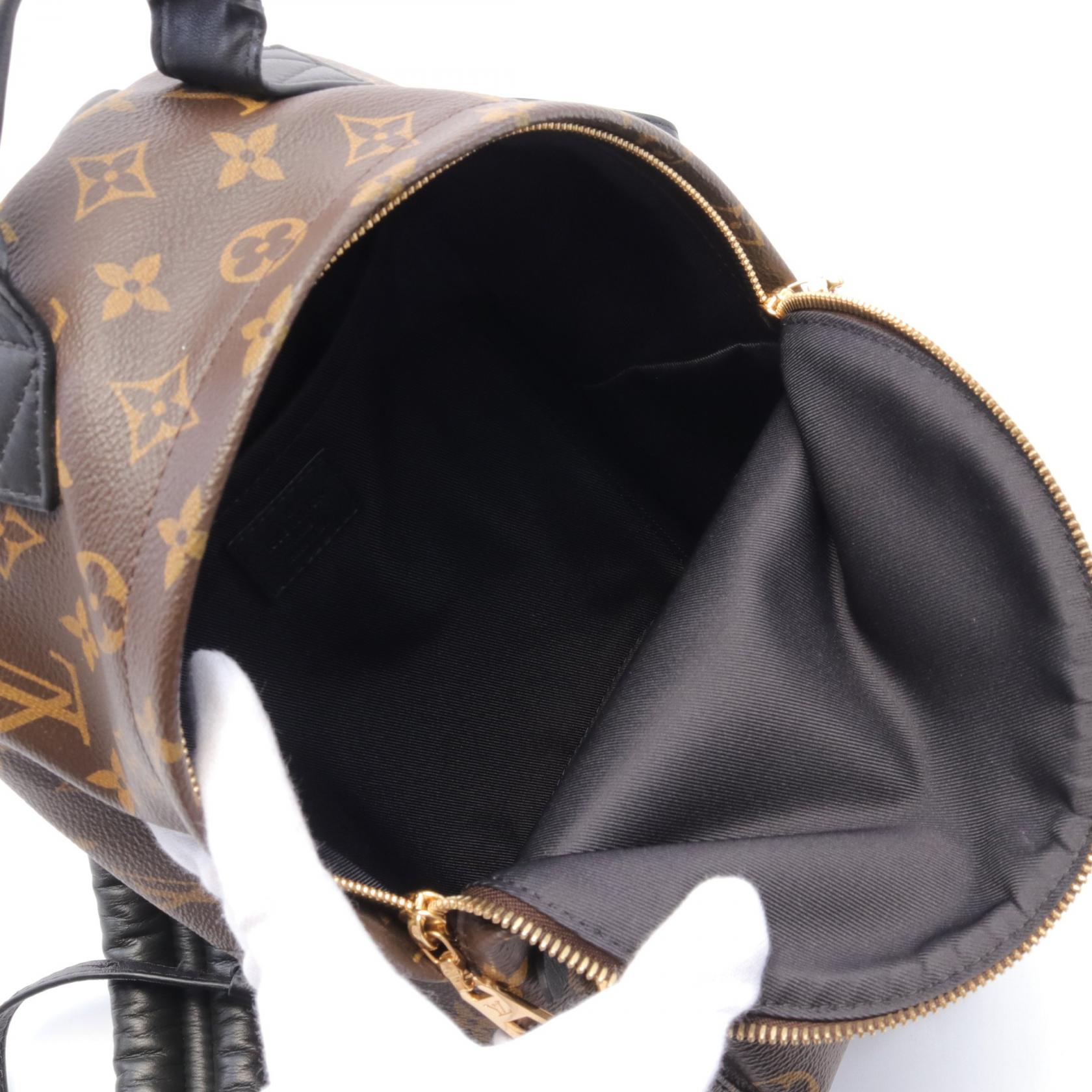 Louis Vuitton Palm Springs PM Backpack M41560