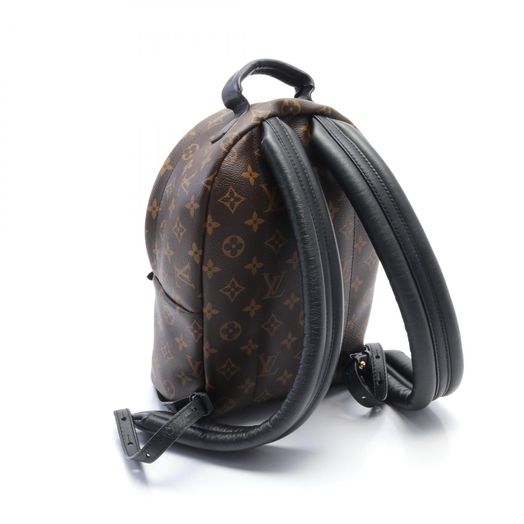 Louis Vuitton Monogram Palm Springs PM Backpack M41560