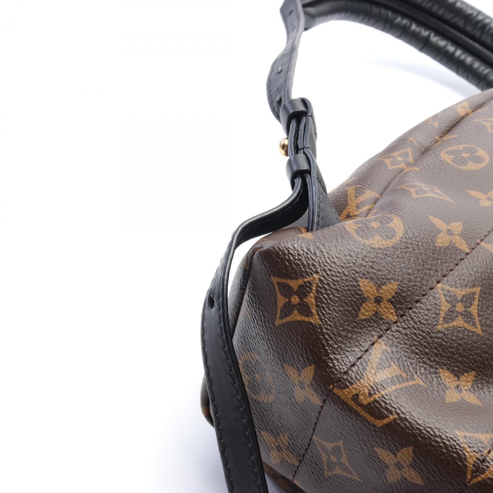 Louis Vuitton Monogram Palm Springs PM Backpack M41560