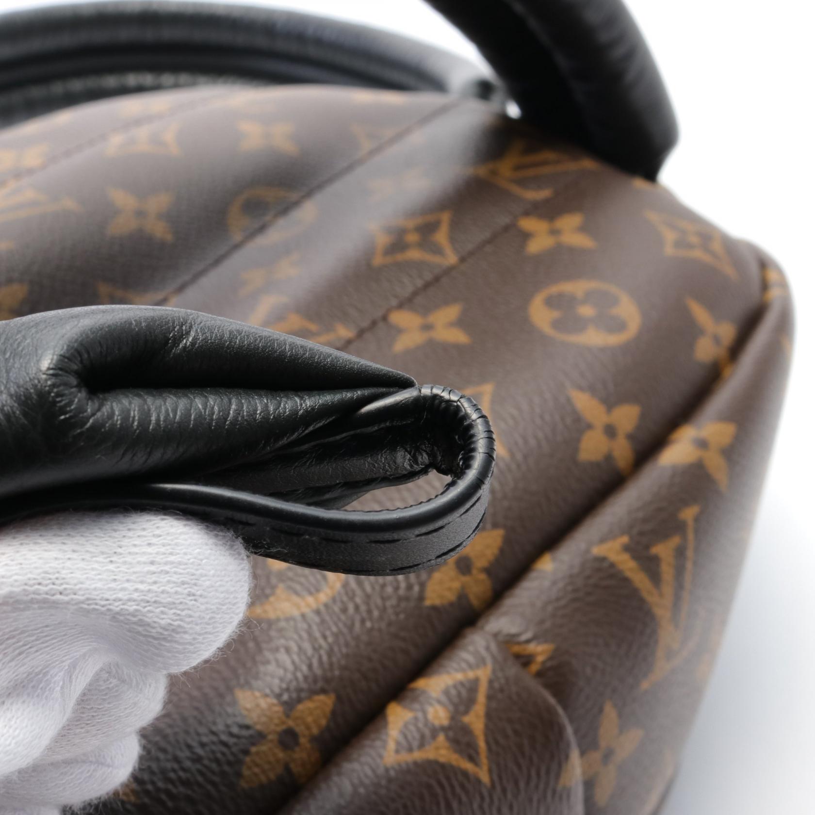 Louis Vuitton Monogram Palm Springs PM Backpack M41560