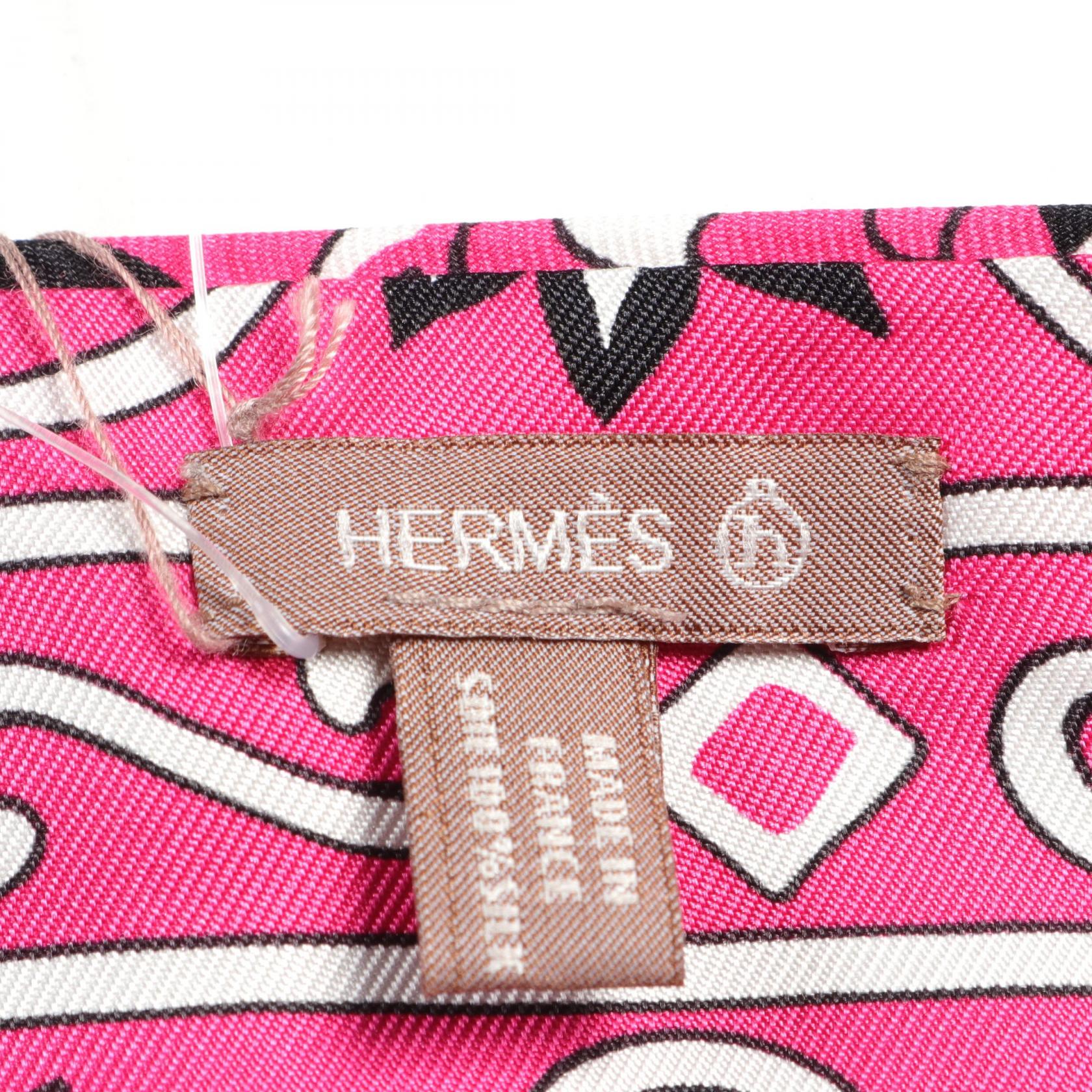 Hermes Silk Petit H Peuple du Vent Coat