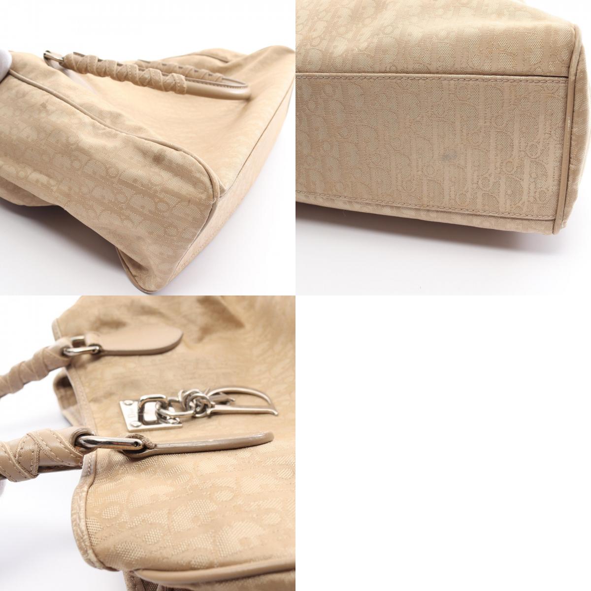 Dior Trotter Canvas Leather Handbag