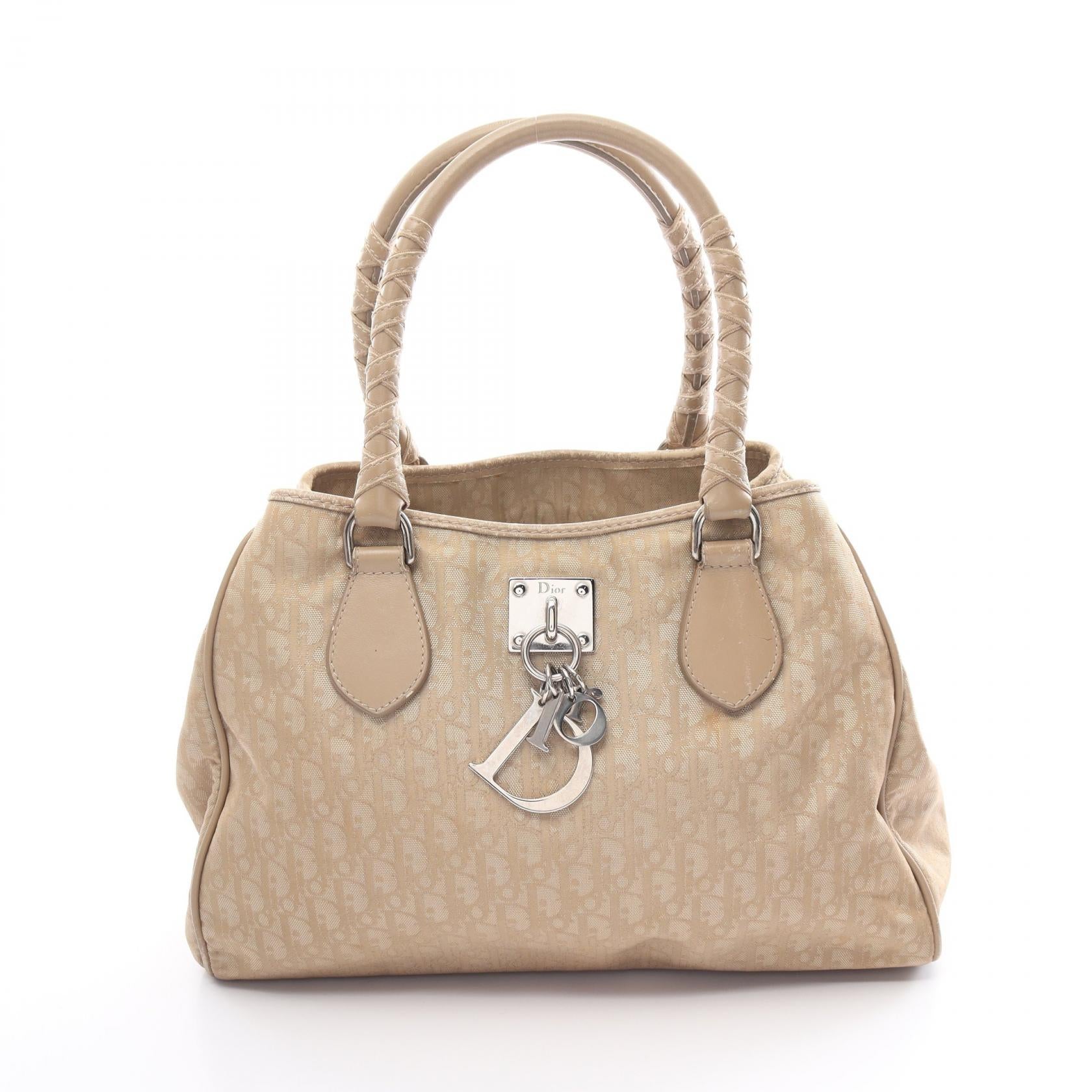 Dior Trotter Canvas Leather Handbag