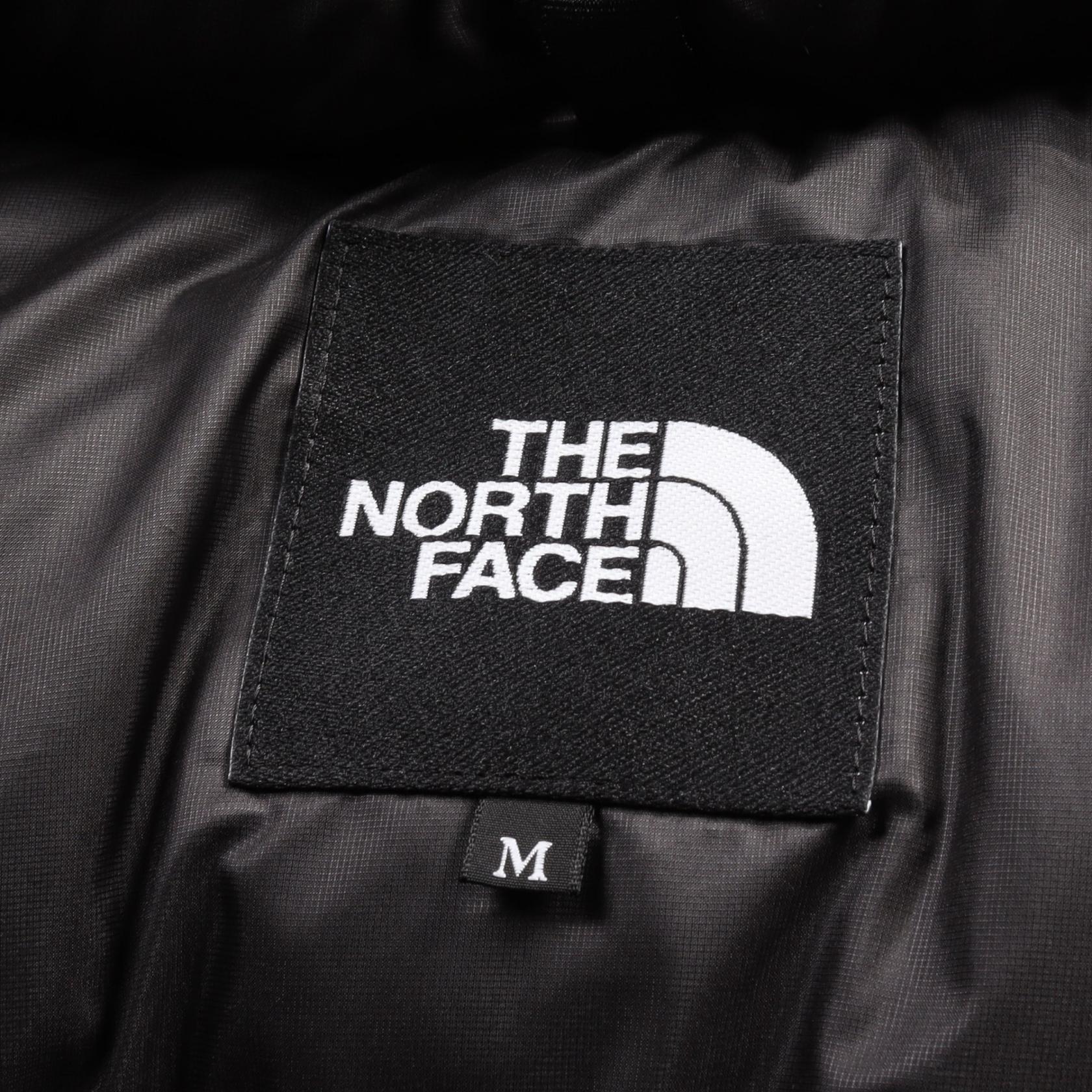 The North Face Antarctica Parka Down Jacket