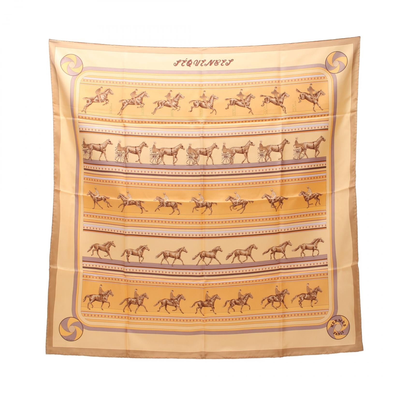 Hermes Silk Carre 90 Sequences Scarf