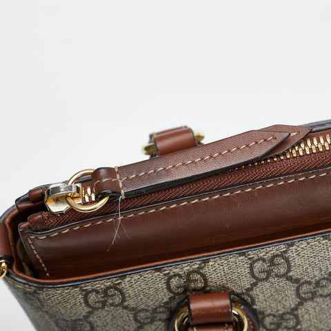 GG Supreme Handbag 453177