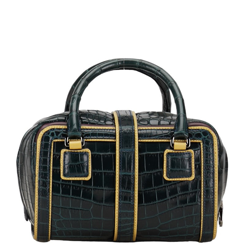 Loewe Croc-Embossed Leather Handbag Green Yellow