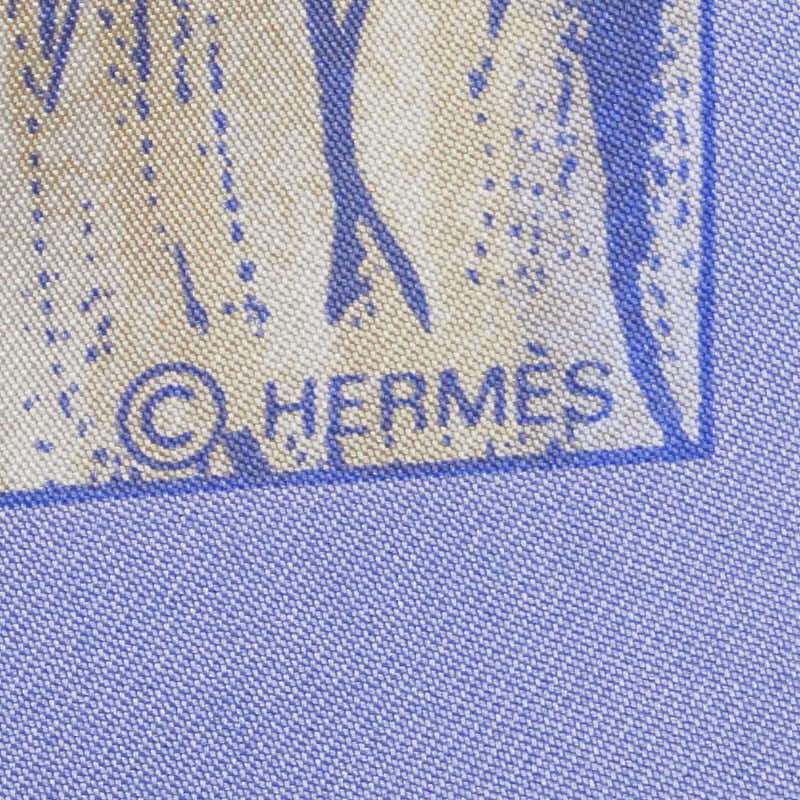 Hermes Silk Scarf Les Perroquets 90