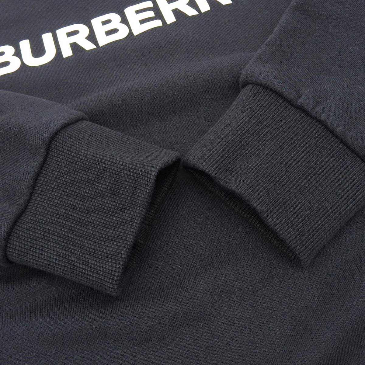 Burberry Logo Print Sweatshirt 8055312