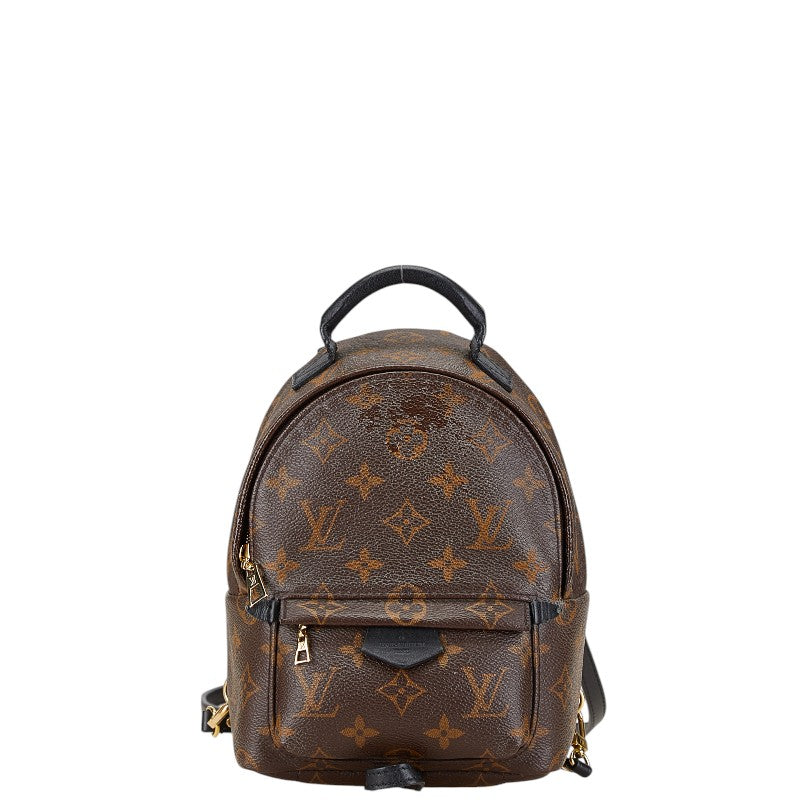 Louis Vuitton Palm Springs Mini Backpack M44873