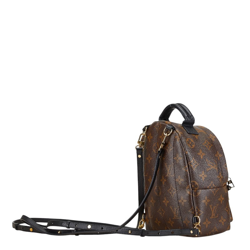 Louis Vuitton Palm Springs Mini Backpack M44873